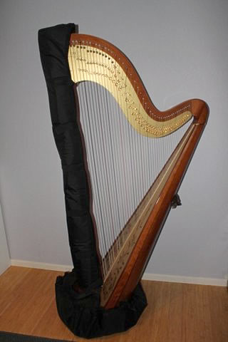 4 Piece Transport Set